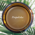 Maść propolisowa propoliska 50g