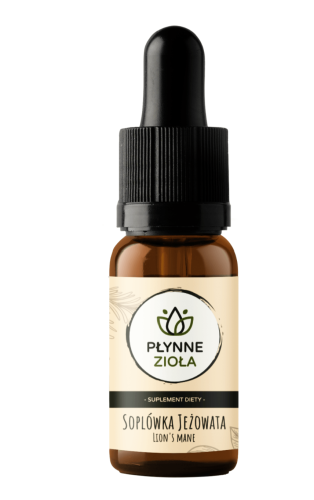 Soplówka jeżowata na PAMIĘĆ KONCENTRACJE 15ml Płynne Zioła