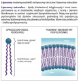 Liposol Liposomanla Witamina C pomarańczowa NA ODPORNOŚĆ 250ml