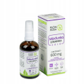 Miodunka lekarska WSPARCIE UKŁADU ODDECHOWEGO 20:1 100ml Plonpharm