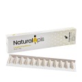 Naturalne czopki propolis z GLISTNIKIEM JASKÓŁCZE ZIELE infekcje NaturalApis
