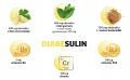 Diabesulin WSPARCIE PRAWIDŁOWEGO POZIOMU CUKRU I METABOLIZMU 60 kapsułek Oleofarm