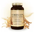 Cordyceps Maczużnik Chiński 600 mg – 100 kapsułek  Asepta