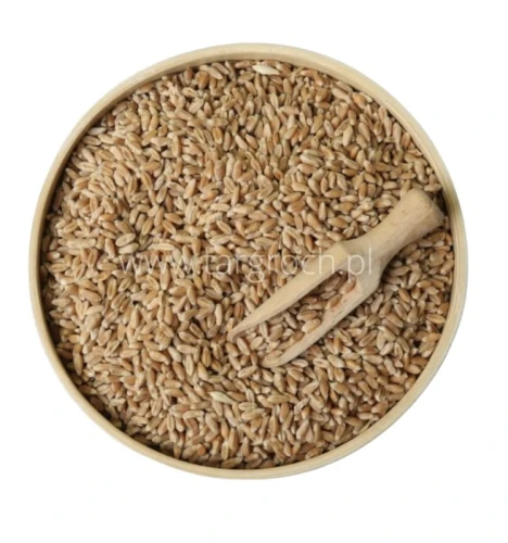 Kutia – Pszenica Obrabiana 500 g Targroch