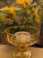 Podgrzewacz XXL Sojowy Citronella Tealight Tarcza Zapachowa Ogród Taras EKO