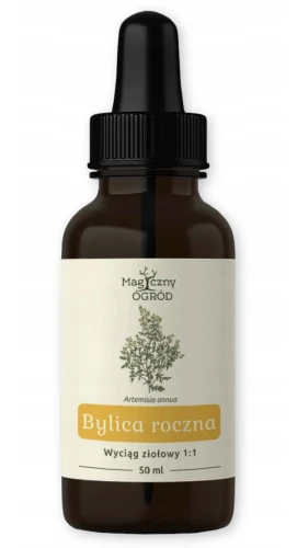 Bylica Roczna Artemisia Annua Wyciąg Ziołowy 1:1 50 ml – Magiczny Ogród