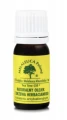 Melaleuca Olejek z drzewa herbacianego 7 ml – DO AROMATERAPII