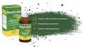 ASEPTA BAZYLIOSEPT B86 100 ML – OLEJKI NA STRES I TRAWIENIE
