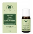 MELALEUCA OLEJEK EUKALIPTUSOWY 7 ML – DO AROMATERAPII