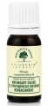 MELALEUCA OLEJEK Z CYTRYNOWEGO DRZEWA HERBACIANEGO 7 ML – DO AROMATERAPII