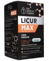 LICUR MAX KURKUMA MICELARNA 720 MG – WSPARCIE ANTYOKSYDACYJNE, 60 KAPSUŁEK