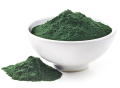 Spirulina algi morskie w proszku
